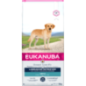 Eukanuba Adult Labrador Retriever 12 kg