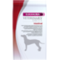 Eukanuba Dog Veterinary Diets Intestinal 12 kg