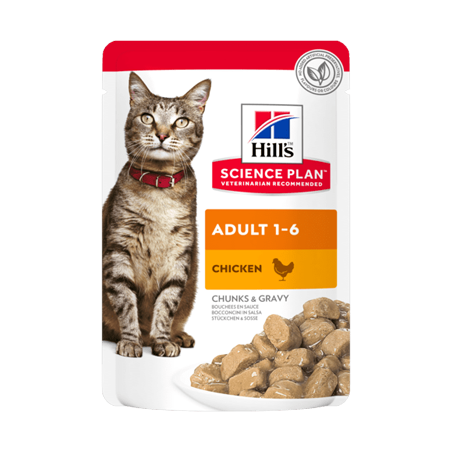 Hills Science Plan Adult Cat with Chicken | Wet (Saqueta) Cx c/ 12 saquetas 85g