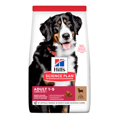 Hills Science Plan Dog Adult Large Breed with Lamb & Rice 14 kg