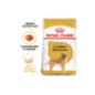 Royal Canin Dog Golden Retriever Adult 12 Kg