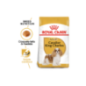 Royal Canin Dog Cavalier King Charles Adult 3 Kg