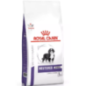 Royal Canin Vet Health Nutrition Neutered Junior Large Dog 12 Kg