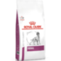 Royal Canin Vet Renal Canine 7 Kg