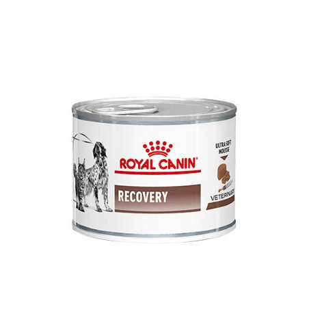 Royal Canin Vet Recovery Canine & Feline | Wet (Lata) 12 X 195 g