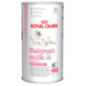 Royal Canin Babycat Milk 300 g