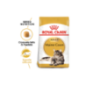 Royal Canin Cat Maine Coon Adult 4 Kg