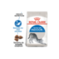 Royal Canin Cat Indoor 27 2 Kg