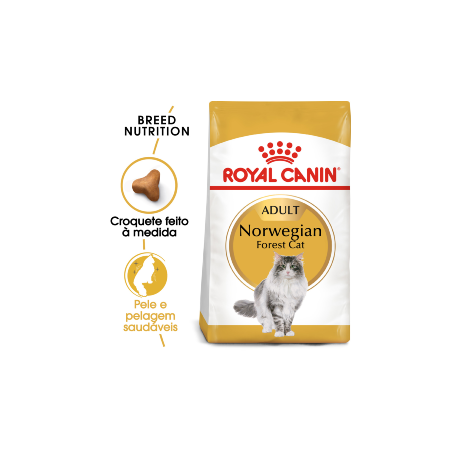 Royal Canin Cat Norwegian Forest Adult 2 Kg