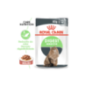 Royal Canin Cat Digest Sensitive in Gravy | Wet (Saqueta) 12 X 85 g