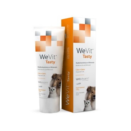 WeVit Tasty 100 ml