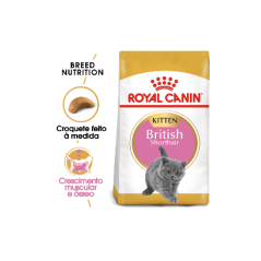 Royal Canin Cat Kitten British Shorthair 2 kg