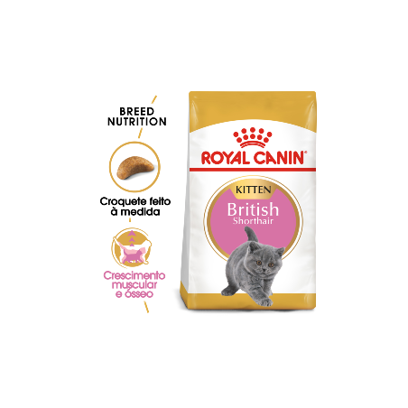 Royal Canin Cat Kitten British Shorthair 2 kg