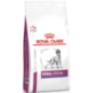 Royal Canin Vet Renal Special Canine 2 kg