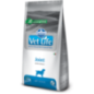 Farmina Vet Life Canine Joint 12 Kg