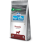 Farmina Vet Life Canine Hepatic 2 Kg