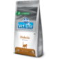 Farmina Vet Life Feline Diabetic 400 g