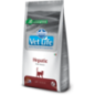 Farmina Vet Life Feline Hepatic 400 g