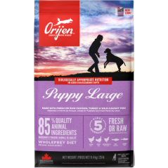 Orijen Puppy Large 11,4 kg