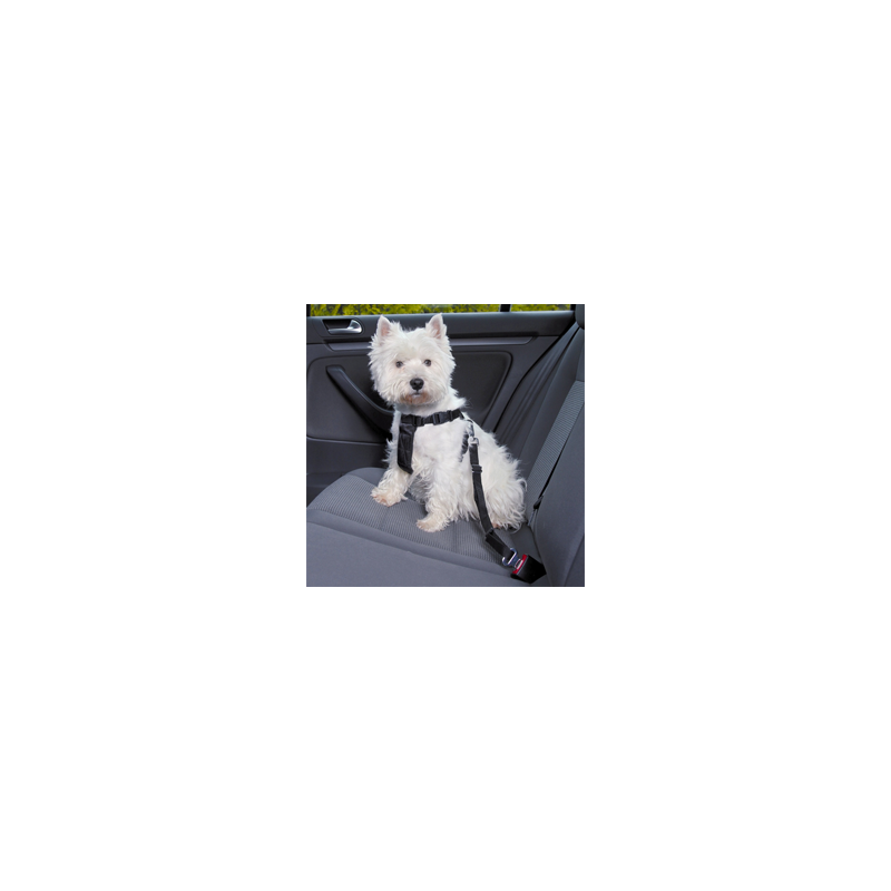 Trixie Friends on Tour Car Harness  L