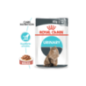 Royal Canin Cat Urinary Care in Gravy | Wet (Saqueta) 12 X 85 g