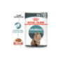 Royal Canin Cat Hairball Care in Gravy | Wet (Saqueta) 12 X 85 g