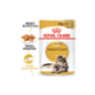 Royal Canin Cat Maine Coon Adult | Wet (Saqueta) 12 X 85 g