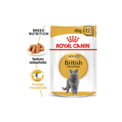 Royal Canin Cat British Shorthair Adult | Wet (Saqueta) 12 X 85 g