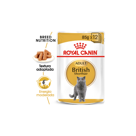 Royal Canin Cat British Shorthair Adult | Wet (Saqueta) 12 X 85 g