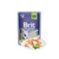 Brit Premium by Nature Cat Delicate Fillets in Jelly with Trout | Wet (Saqueta) 24 X 85 g