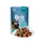 Brit Premium by Nature Cat Delicate Fillets in Gravy with Beef | Wet (Saqueta) 24 X 85 g