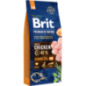 Brit Premium by Nature Senior Small & Medium Dog 1 kg