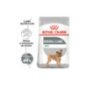 Royal Canin Dog Mini Dental Care 3 Kg