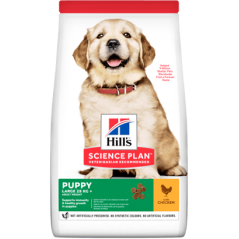 Hills Science Plan Puppy Large Breed with Chicken 14,5 kg