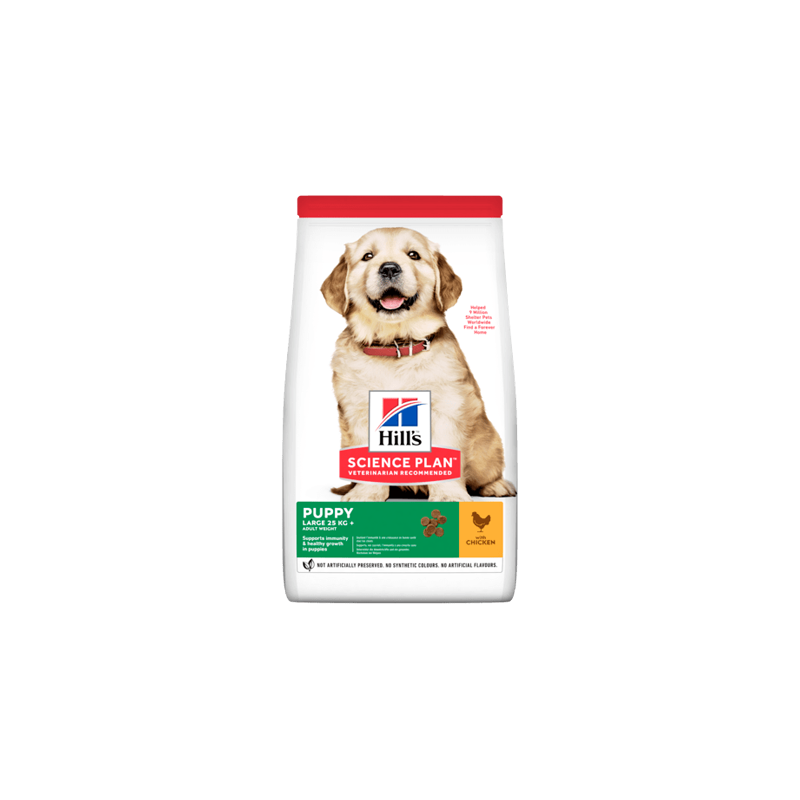 Hills Science Plan Puppy Large Breed with Chicken 14,5 kg