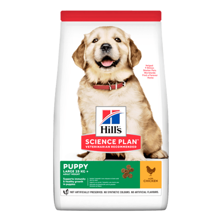 Hills Science Plan Puppy Large Breed with Chicken 14,5 kg