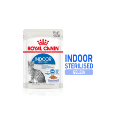 Royal Canin Cat Indoor in Jelly | Wet (Saqueta) 12 X 85 g