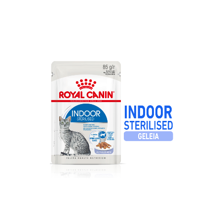 Royal Canin Cat Indoor in Jelly | Wet (Saqueta) 12 X 85 g