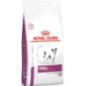 Royal Canin Vet Renal Canine Small Dog 1,5 Kg