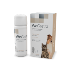 WeGastro 60 ml