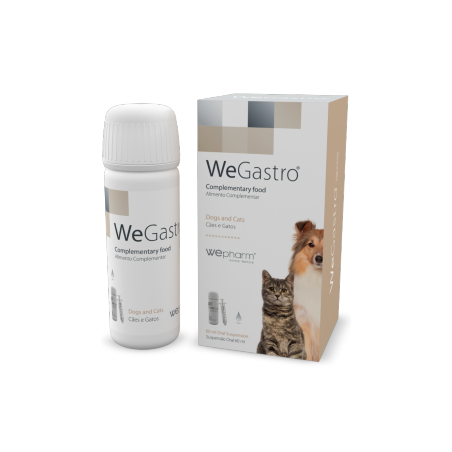 WeGastro 60 ml