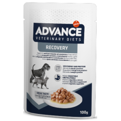 Advance Vet Dog & Cat Recovery | Wet (Saqueta) 11 X 100 g