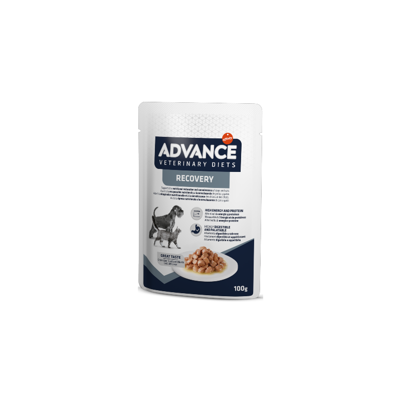 Advance Vet Dog & Cat Recovery | Wet (Saqueta) 11 X 100 g