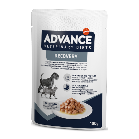 Advance Vet Dog & Cat Recovery | Wet (Saqueta) 11 X 100 g