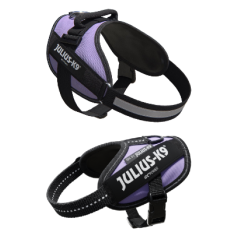 Julius-K9 IDC Powerharness | Roxo 3XS / Bebé 1