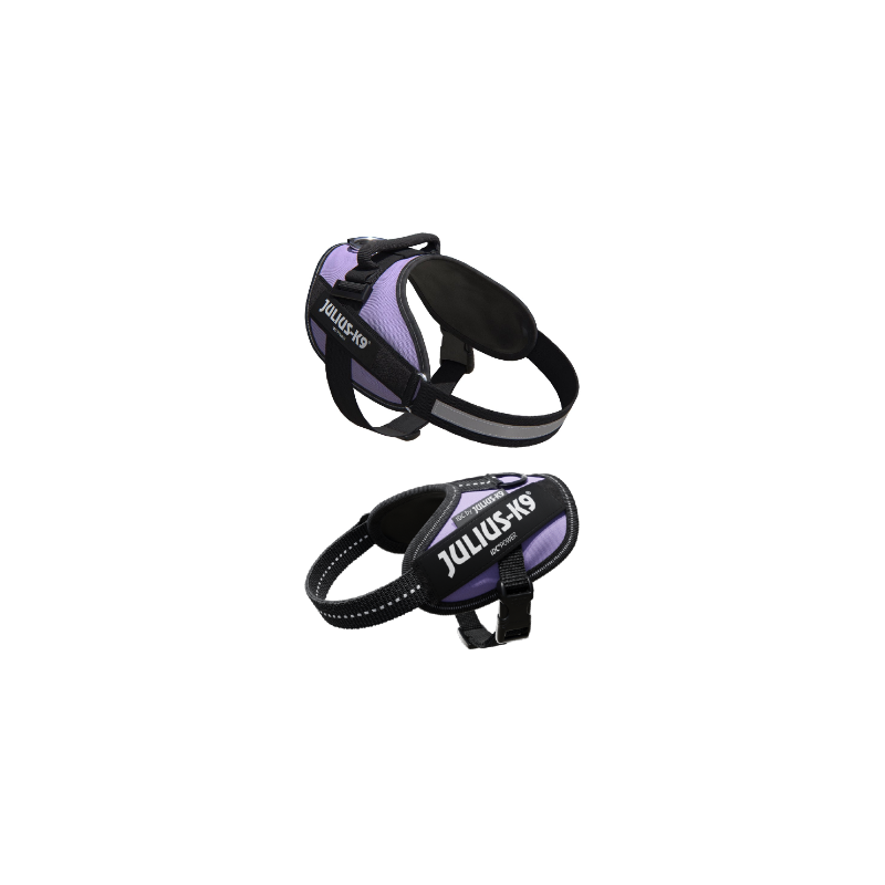 Julius-K9 IDC Powerharness | Roxo 3XS / Bebé 1