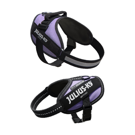 Julius-K9 IDC Powerharness | Roxo 2XS / Bebé 2