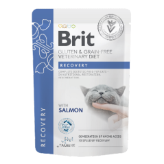 Brit Veterinary Diet Cat Recovery Gluten & Grain-Free Salmon in Gravy | Wet (Saqueta) 12 X 85 g