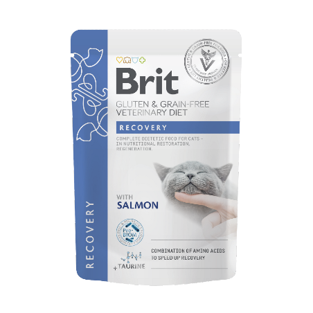 Brit Veterinary Diet Cat Recovery Gluten & Grain-Free Salmon in Gravy | Wet (Saqueta) 12 X 85 g