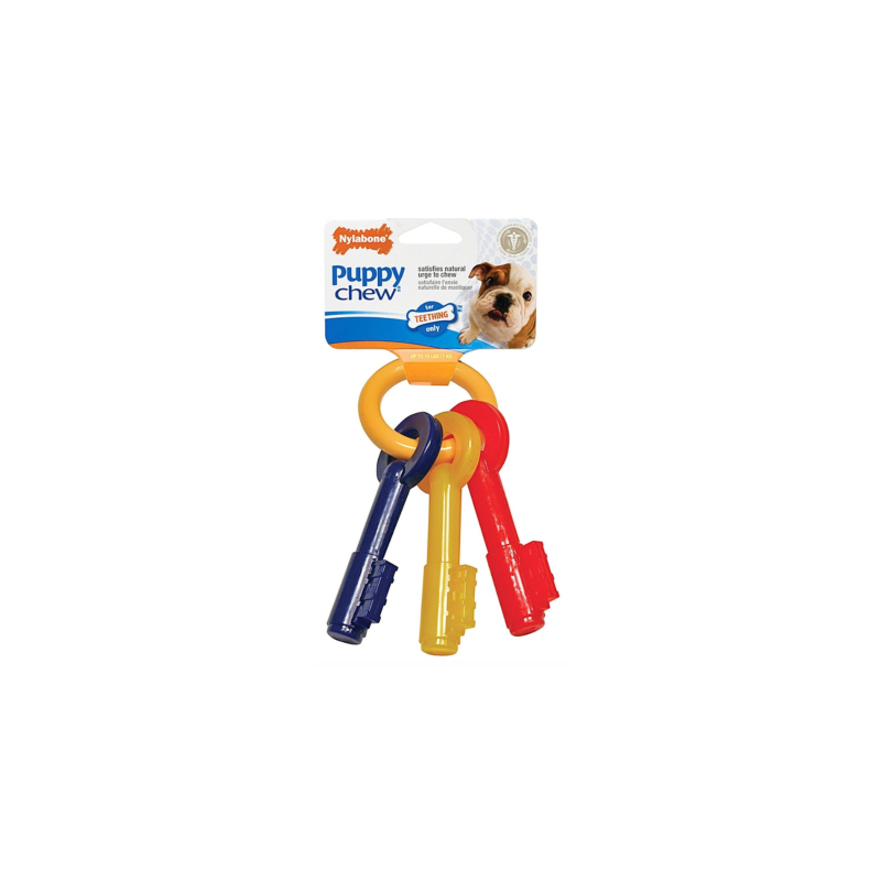 Nylabone Dog Chaves XS para Dentição 1 unidade